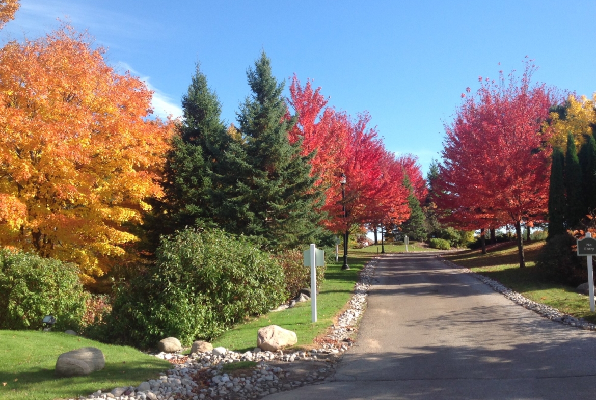 Carriage Hills Resort Outside