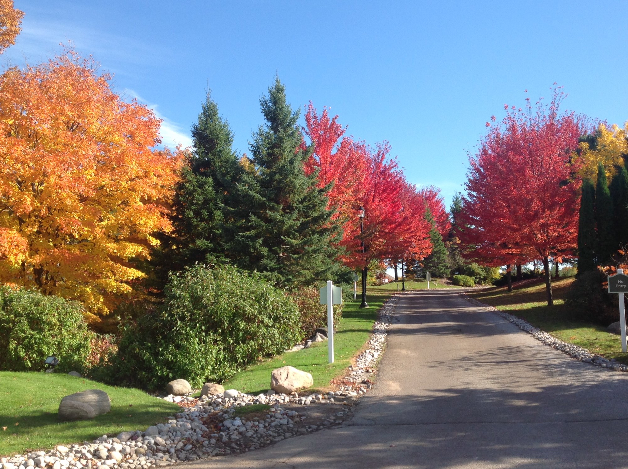 Carriage Hills Resort Outside