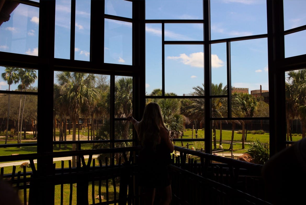 Animal Kingdom Lodge Lobby Window Savanna