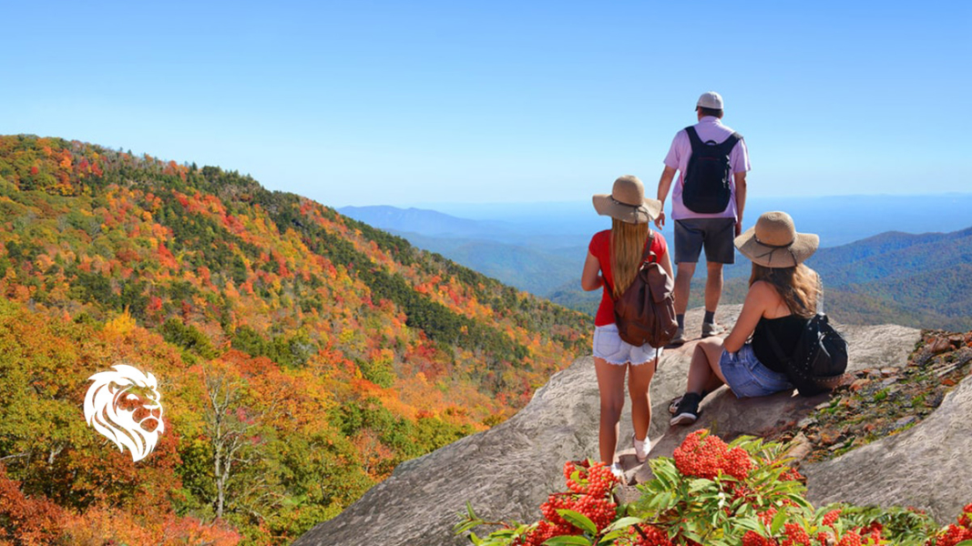 Fall Vacation Ideas For Enjoying Autumn Foliage - Fidelity Real Estate