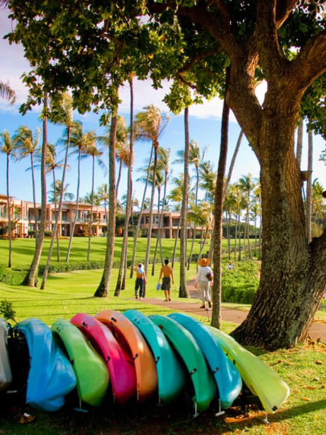 Hilton in Maui: Luxury, Adventure, and Aloha Awaits HGVC Owners ...