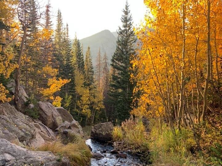 Rocky Mountains Autumn Leaves